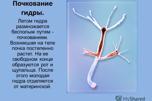 Кракен магазин ссылка