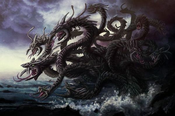 Kraken20at