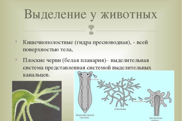 Кракен даркнет только через тор