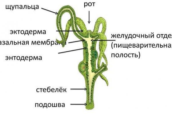 Кракен сайт с наркотиками