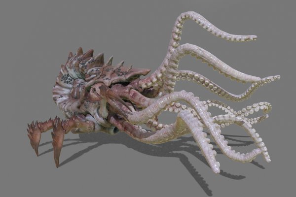 Kraken зеркала gigageek ru
