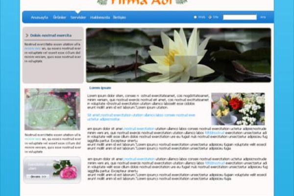 Рабочая ссылка кракен в тор