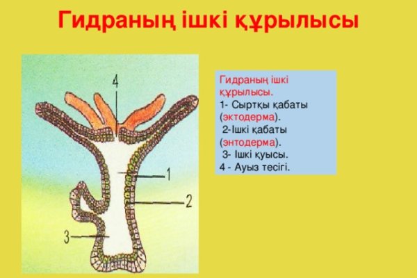 Найти ссылку кракен